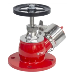 Single Headed Hydrant Valve